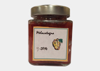 Melacotogna